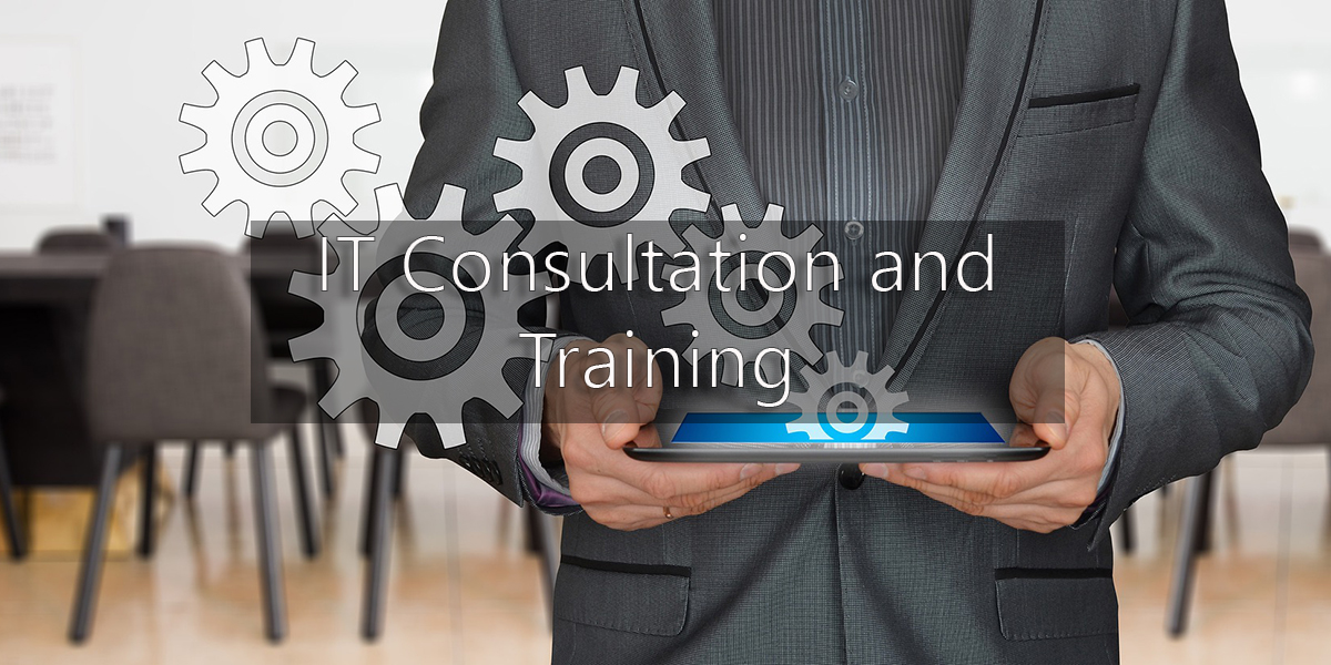 IT Consult2